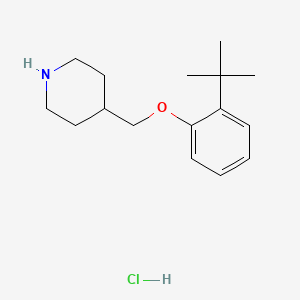 molecular formula C16H26ClNO B1441186 2-(tert-Butyl)phenyl 4-piperidinylmethyl ether hydrochloride CAS No. 1146956-96-8