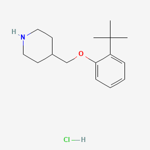 2-(tert-Butyl)phenyl 4-piperidinylmethyl ether hydrochloride