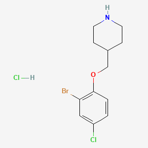 molecular formula C12H16BrCl2NO B1441196 4-[(2-Bromo-4-chlorophenoxy)methyl]piperidine hydrochloride CAS No. 1219972-49-2