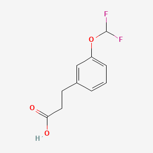 molecular formula C10H10F2O3 B1441350 3-[3-(Difluoromethoxy)phenyl]propionic acid CAS No. 1092460-66-6