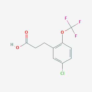 molecular formula C10H8ClF3O3 B1441381 3-[5-Chloro-2-(trifluoromethoxy)phenyl]propionic acid CAS No. 1092461-23-8