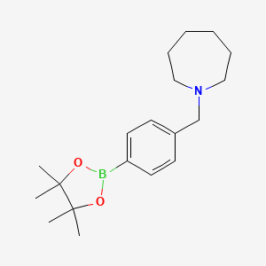 molecular formula C19H30BNO2 B1441403 1-{[4-(4,4,5,5-Tetramethyl-1,3,2-dioxaborolan-2-yl)phenyl]methyl}azepane CAS No. 1315278-37-5