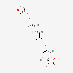molecular formula C25H34O4 B1441486 Fasciculatin CAS No. 37905-12-7