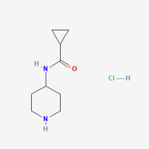 molecular formula C9H17ClN2O B1441499 N-(4-Piperidinyl)cyclopropanecarboxamide hydrochloride CAS No. 1219971-76-2