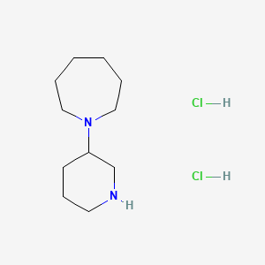molecular formula C11H24Cl2N2 B1441613 1-(3-Piperidinyl)azepane dihydrochloride CAS No. 1219957-22-8
