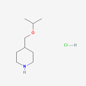 molecular formula C9H20ClNO B1441638 4-(Isopropoxymethyl)piperidine hydrochloride CAS No. 1211439-83-6