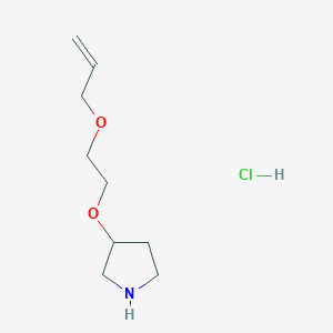 molecular formula C9H18ClNO2 B1441658 3-[2-(Allyloxy)ethoxy]pyrrolidine hydrochloride CAS No. 1220033-28-2