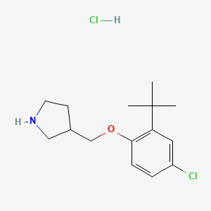 3-{[2-(Tert-butyl)-4-chlorophenoxy]-methyl}pyrrolidine hydrochloride