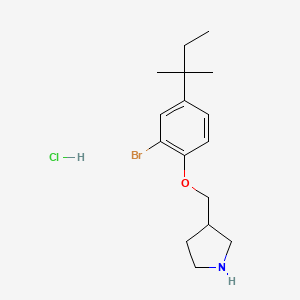 3-{[2-Bromo-4-(tert-pentyl)phenoxy]-methyl}pyrrolidine hydrochloride
