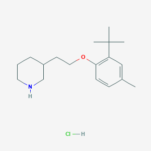 3-{2-[2-(Tert-butyl)-4-methylphenoxy]-ethyl}piperidine hydrochloride
