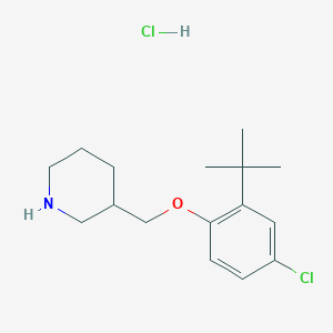 3-{[2-(Tert-butyl)-4-chlorophenoxy]-methyl}piperidine hydrochloride