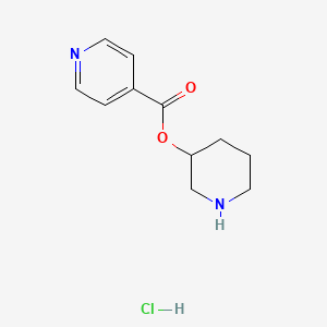 3-Piperidinyl isonicotinate hydrochloride