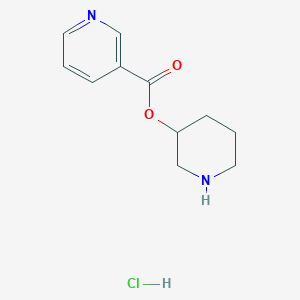 molecular formula C11H15ClN2O2 B1441676 3-Piperidinyl nicotinate hydrochloride CAS No. 1219981-06-2
