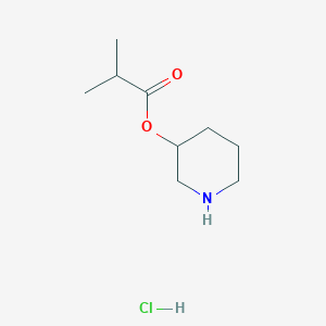 3-Piperidinyl 2-methylpropanoate hydrochloride
