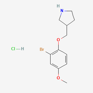 molecular formula C12H17BrClNO2 B1441693 2-Bromo-4-methoxyphenyl 3-pyrrolidinylmethyl ether hydrochloride CAS No. 1219956-82-7