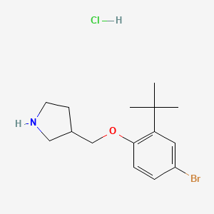 molecular formula C15H23BrClNO B1441701 4-Bromo-2-(tert-butyl)phenyl 3-pyrrolidinylmethyl-ether hydrochloride CAS No. 1219948-96-5