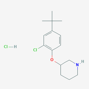 3-[4-(tert-Butyl)-2-chlorophenoxy]piperidine hydrochloride