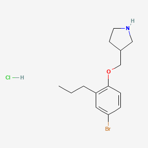 molecular formula C14H21BrClNO B1441759 3-[(4-Bromo-2-propylphenoxy)methyl]pyrrolidine hydrochloride CAS No. 1219956-85-0