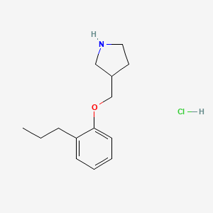molecular formula C14H22ClNO B1441763 3-[(2-Propylphenoxy)methyl]pyrrolidine hydrochloride CAS No. 1219982-40-7