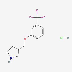 molecular formula C12H15ClF3NO B1441764 3-{[3-(Trifluoromethyl)phenoxy]methyl}pyrrolidine hydrochloride CAS No. 1219982-06-5