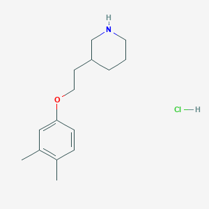 3-[2-(3,4-Dimethylphenoxy)ethyl]piperidine hydrochloride