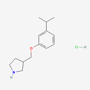 molecular formula C14H22ClNO B1441766 3-[(3-Isopropylphenoxy)methyl]pyrrolidine hydrochloride CAS No. 1219949-40-2