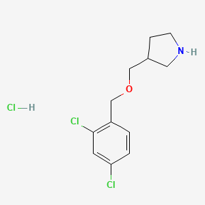 3-{[(2,4-Dichlorobenzyl)oxy]methyl}pyrrolidine hydrochloride