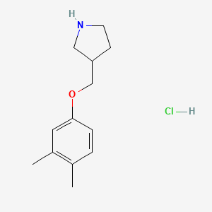 molecular formula C13H20ClNO B1441789 3-[(3,4-Dimethylphenoxy)methyl]pyrrolidine hydrochloride CAS No. 1219980-95-6