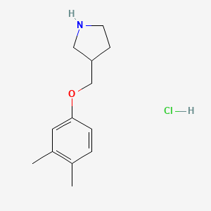 3-[(3,4-Dimethylphenoxy)methyl]pyrrolidine hydrochloride