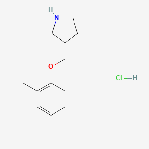 molecular formula C13H20ClNO B1441796 3-[(2,4-Dimethylphenoxy)methyl]pyrrolidine hydrochloride CAS No. 1219982-22-5