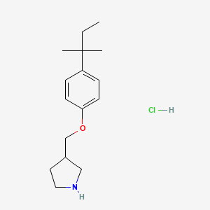 3-{[4-(tert-Pentyl)phenoxy]methyl}pyrrolidine hydrochloride