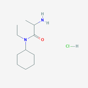 molecular formula C11H23ClN2O B1441803 2-Amino-N-cyclohexyl-N-ethylpropanamide hydrochloride CAS No. 1246172-64-4