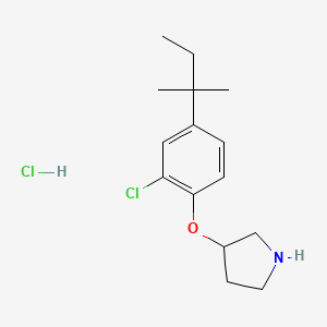 3-[2-Chloro-4-(tert-pentyl)phenoxy]pyrrolidine hydrochloride
