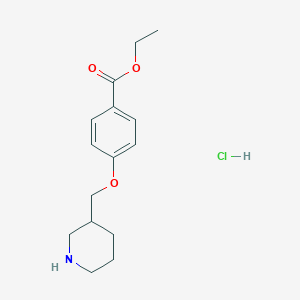 molecular formula C15H22ClNO3 B1441813 Ethyl 4-(3-piperidinylmethoxy)benzoate hydrochloride CAS No. 1219979-59-5