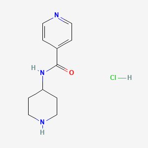 molecular formula C11H16ClN3O B1441995 N-(4-哌啶基)异烟酰胺盐酸盐 CAS No. 1219979-61-9