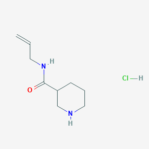 molecular formula C9H17ClN2O B1441996 N-Allyl-3-piperidinecarboxamide hydrochloride CAS No. 1220027-49-5