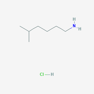 molecular formula C7H18ClN B1442498 5-Methylhexan-1-amine hydrochloride CAS No. 1333628-05-9