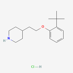 molecular formula C17H28ClNO B1442611 4-{2-[2-(tert-Butyl)phenoxy]ethyl}piperidine hydrochloride CAS No. 1146960-36-2