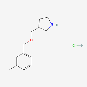 molecular formula C13H20ClNO B1442788 3-{[(3-Methylbenzyl)oxy]methyl}pyrrolidine hydrochloride CAS No. 1220031-56-0