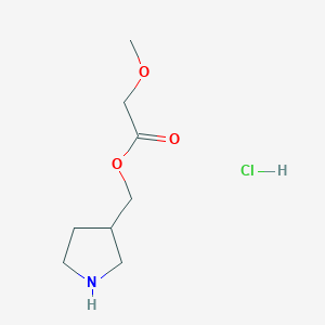 molecular formula C8H16ClNO3 B1442850 3-Pyrrolidinylmethyl 2-methoxyacetate hydrochloride CAS No. 1220031-60-6