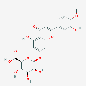 molecular formula C22H20O12 B1442950 DiosMetin 7-O-beta-D-Glucuronide CAS No. 1237479-09-2