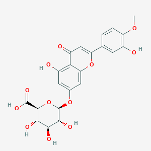 molecular formula C22H20O12 B1442950 Diosmetin 7-glucuronide CAS No. 1237479-09-2