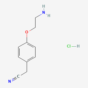 molecular formula C10H13ClN2O B1443075 2-[4-(2-Aminoethoxy)phenyl]acetonitrile hydrochloride CAS No. 1306603-79-1