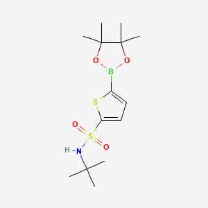 N-tert-butyl-5-(4,4,5,5-tetramethyl-1,3,2-dioxaborolan-2-yl)thiophene-2-sulfonamide