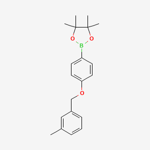 1,3,2-Dioxaborolane, 4,4,5,5-tetramethyl-2-[4-[(3-methylphenyl)methoxy]phenyl]-
