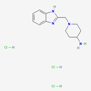molecular formula C13H21Cl3N4 B1443170 1-(1H-1,3-benzodiazol-2-ylmethyl)piperidin-4-amine trihydrochloride CAS No. 1334149-66-4