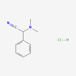 molecular formula C10H13ClN2 B1443242 Dimethylamino-phenyl-acetonitrile hydrochloride CAS No. 5537-53-1