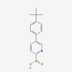 molecular formula C16H17NO2 B1443253 5-(4-叔丁基苯基)吡啶-2-甲酸 CAS No. 1226273-30-8