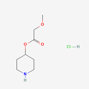 molecular formula C8H16ClNO3 B1443297 4-Piperidinyl 2-methoxyacetate hydrochloride CAS No. 1220031-63-9