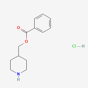 molecular formula C13H18ClNO2 B1443301 Piperidin-4-ylmethyl benzoate hydrochloride CAS No. 1220021-56-6